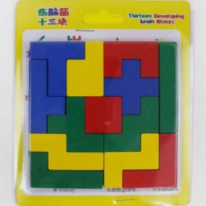 13-in-1 Developing Brain Puzzle Set for Kids | Educational Learning Toy